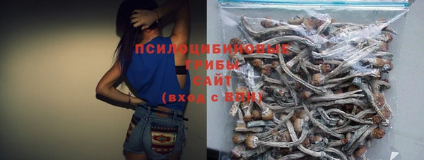 PSILOCYBIN Переславль-Залесский