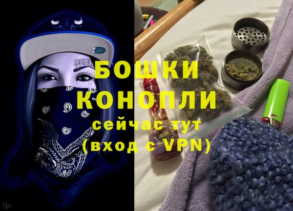 PSILOCYBIN Переславль-Залесский